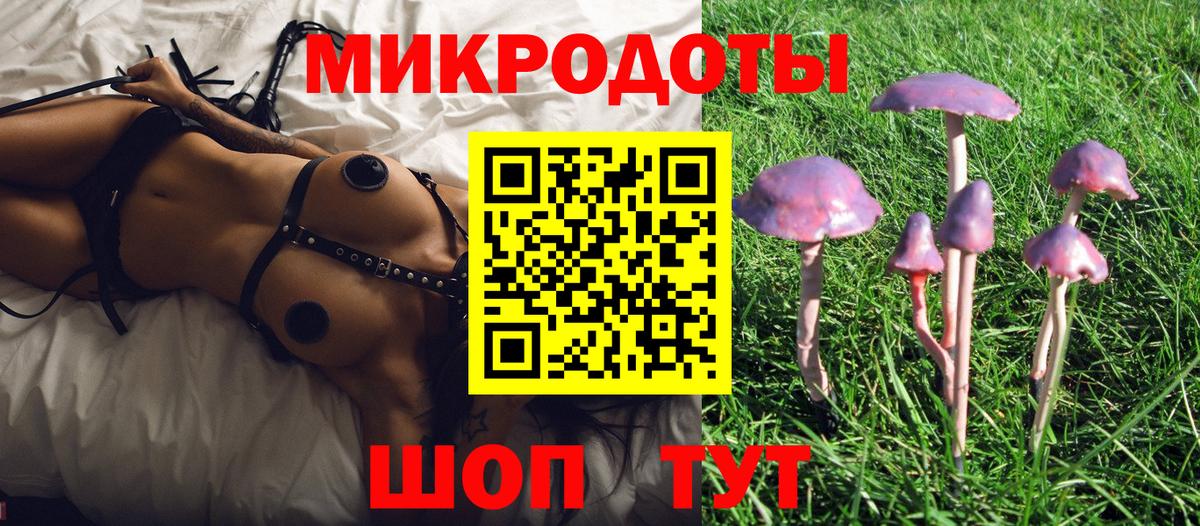 Псилоцибиновые грибы GOLDEN TEACHER Стрежевой